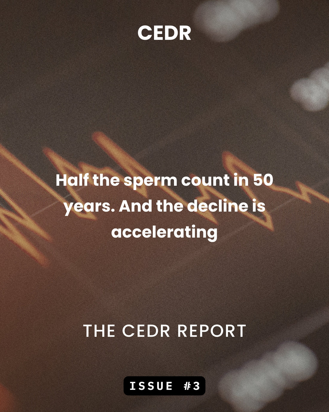 The CEDR Report - Issue #3