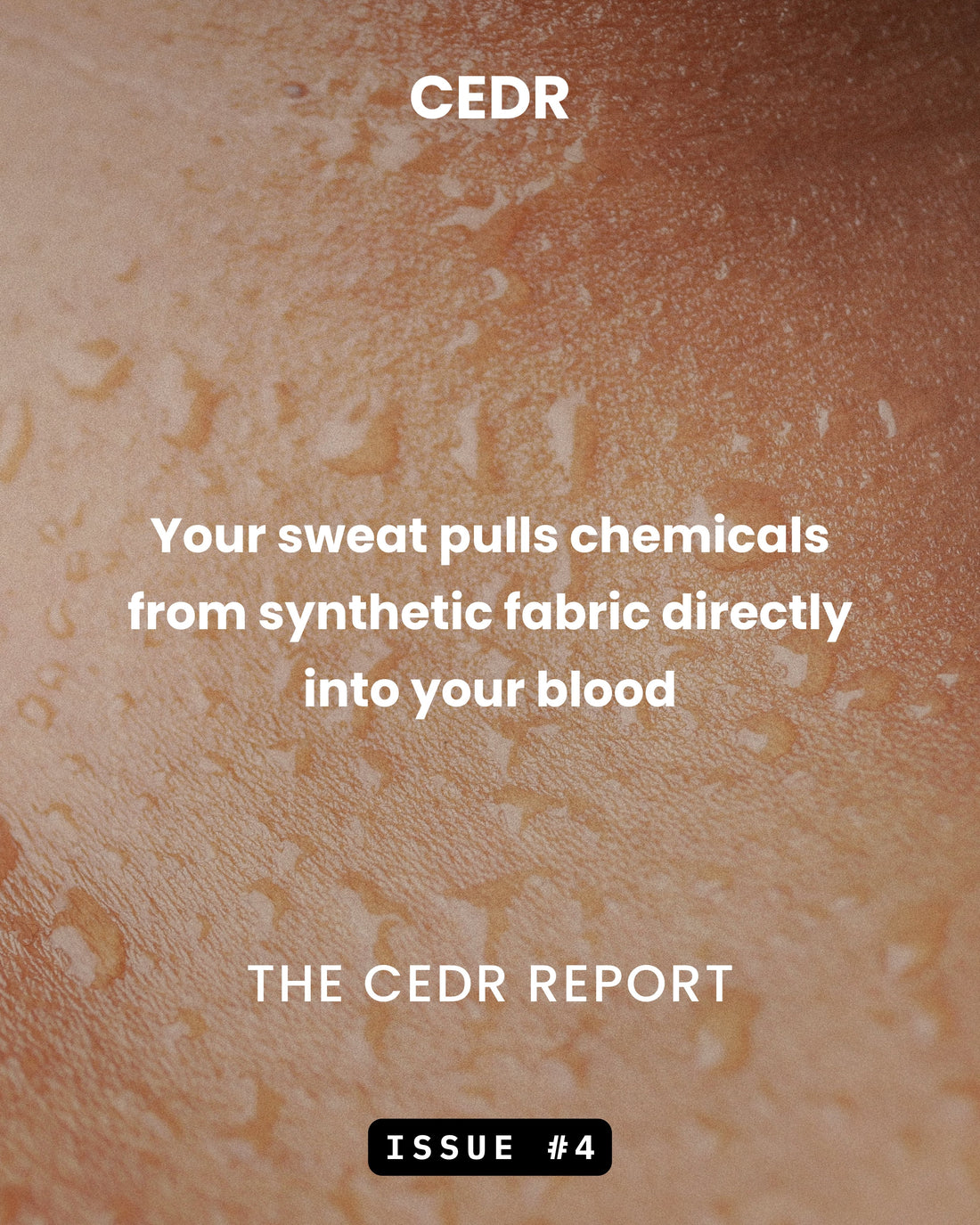 The CEDR Report - Issue #4