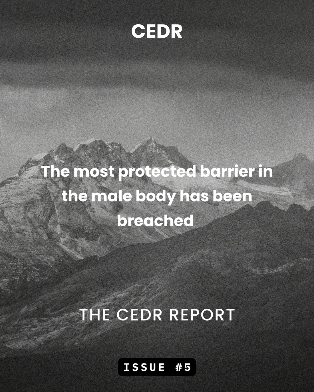 The CEDR Report - Issue #5