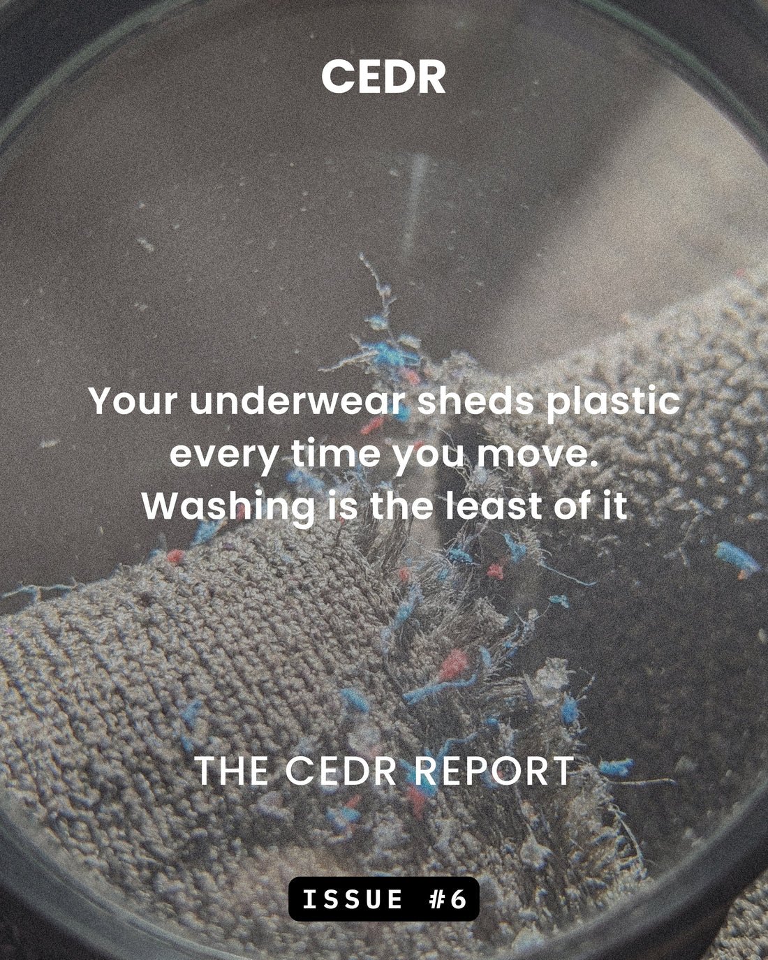 The CEDR Report - Issue #6