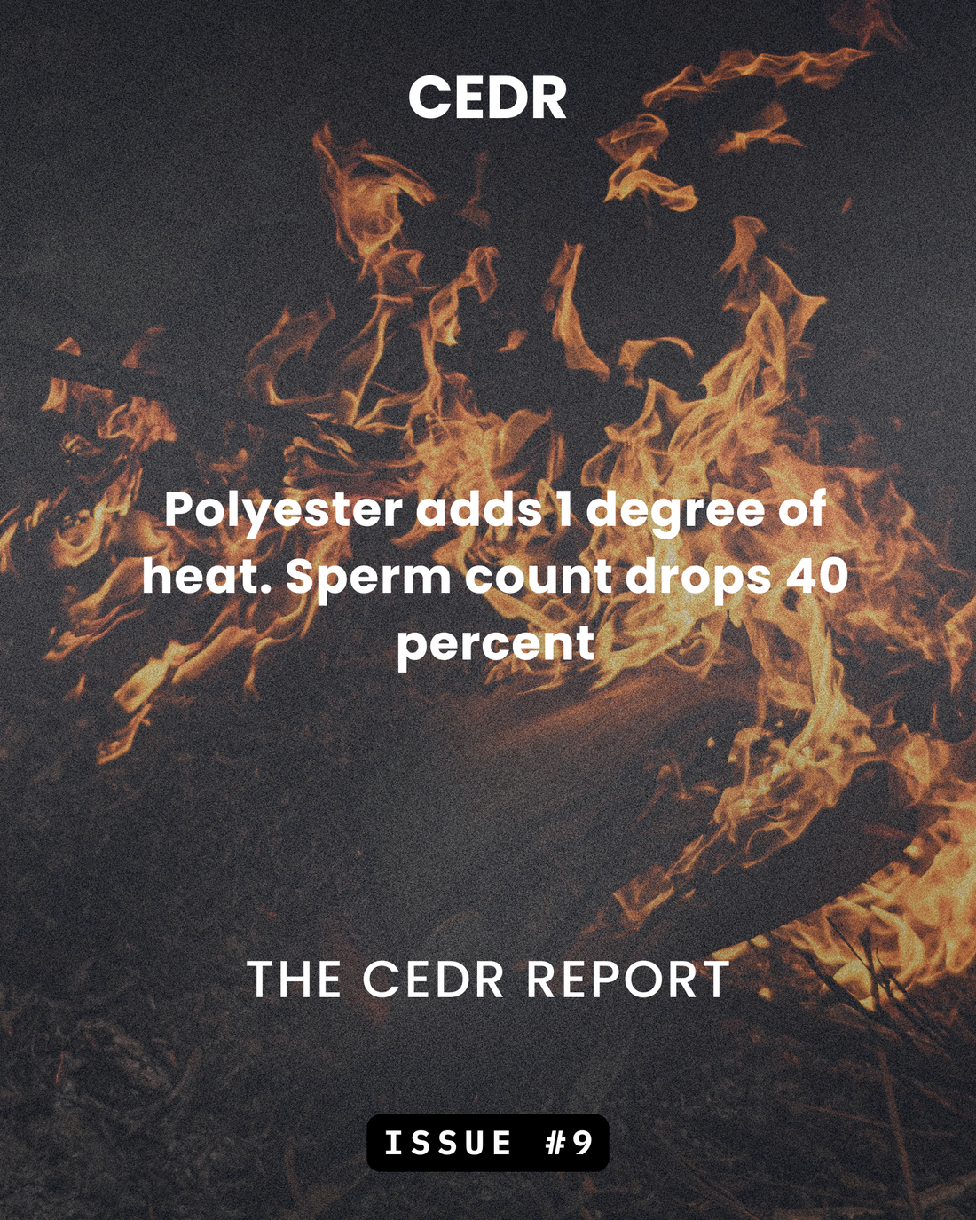 The CEDR Report - Issue #9