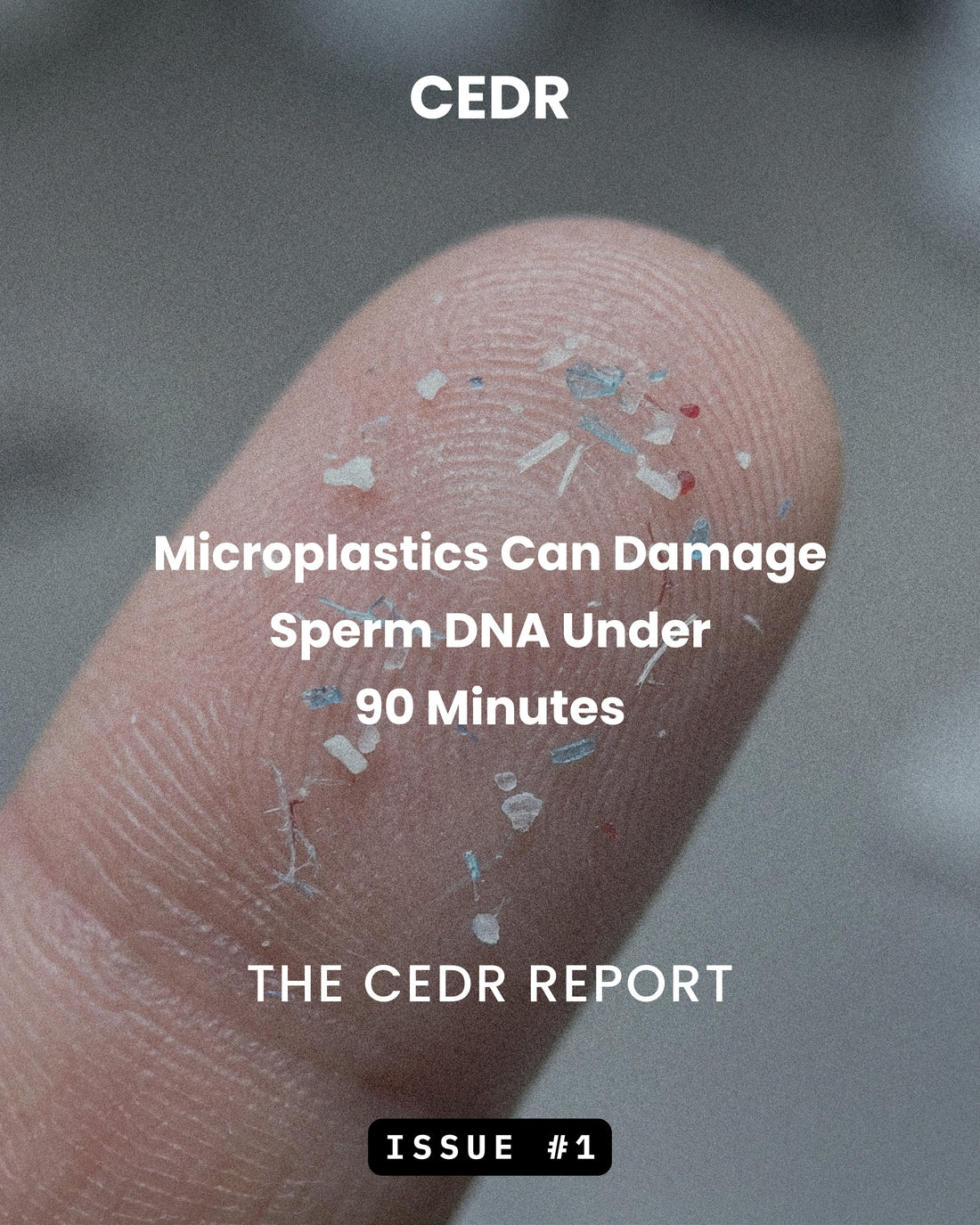 The CEDR Report - Issue #1