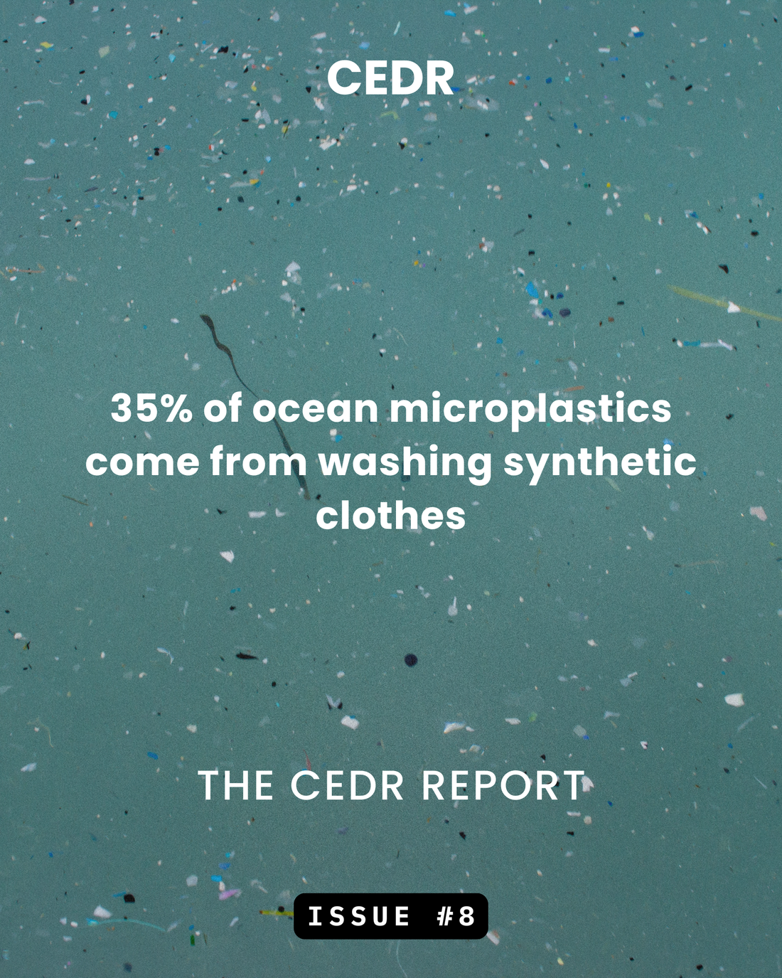 The CEDR Report - Issue #8