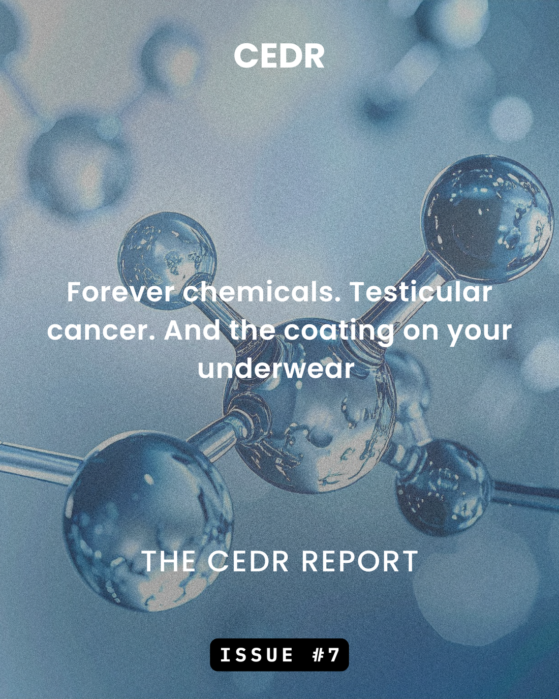 The CEDR Report - Issue #7